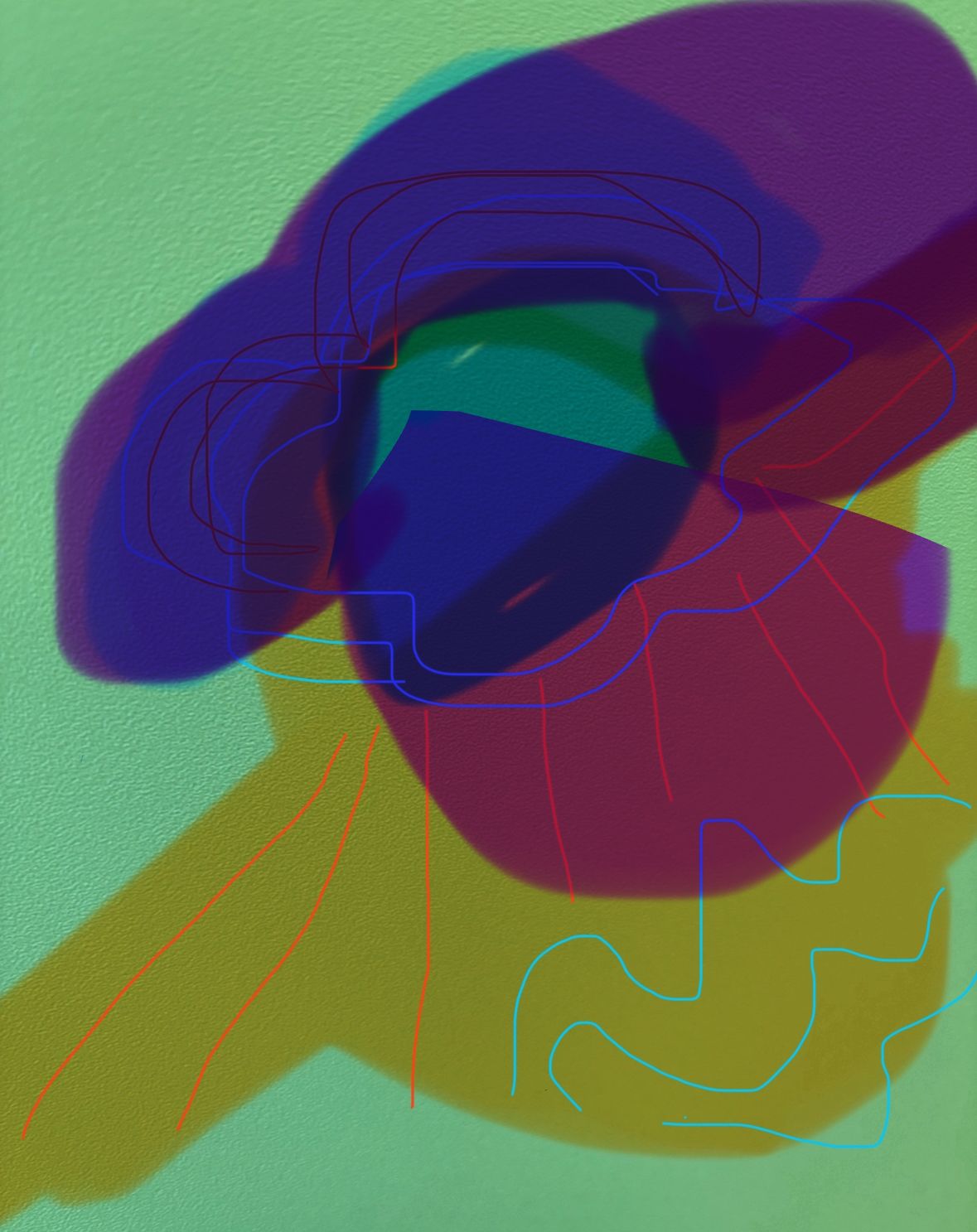 55/2024